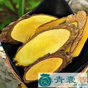 中药材木黄连图片