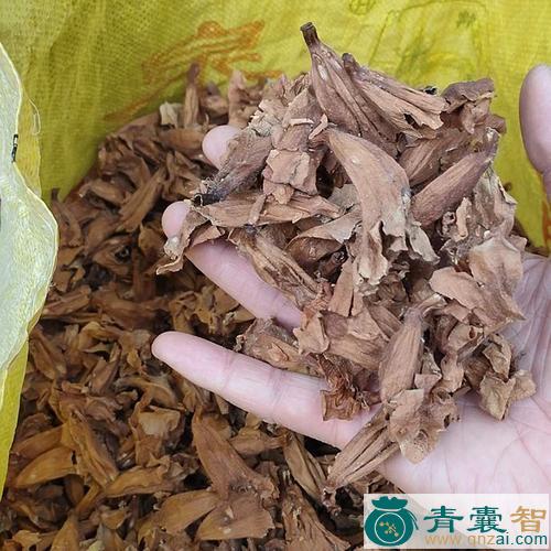 朱桐的性味归经以及功效用法-青囊智