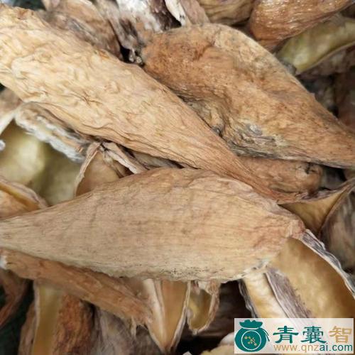 中药材朴地捎图片