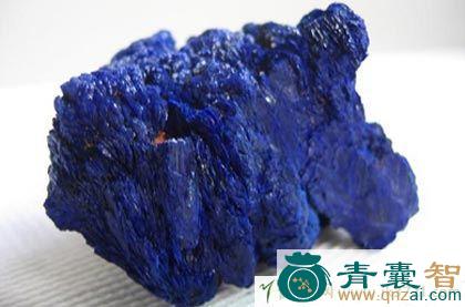 中药材朴青图片