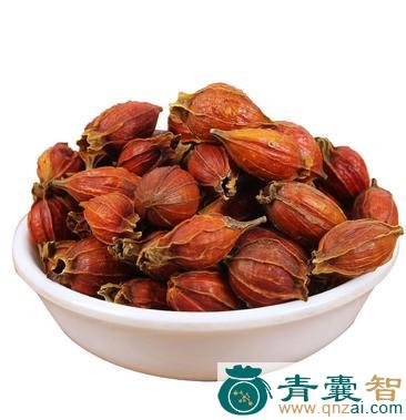 中药材朹子图片