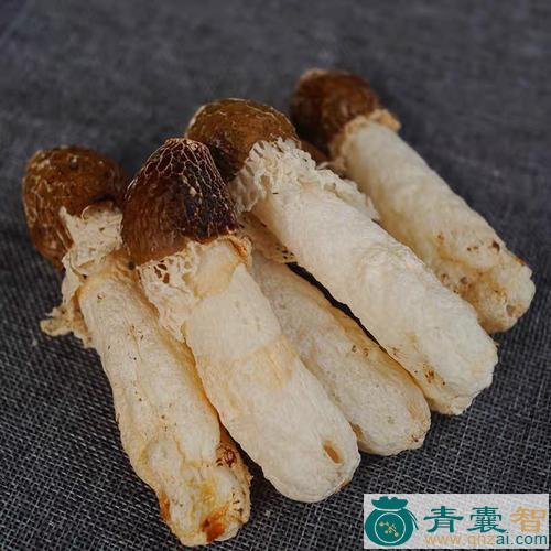 杂色竹荪的性状以及功效用法和注意事项-青囊智