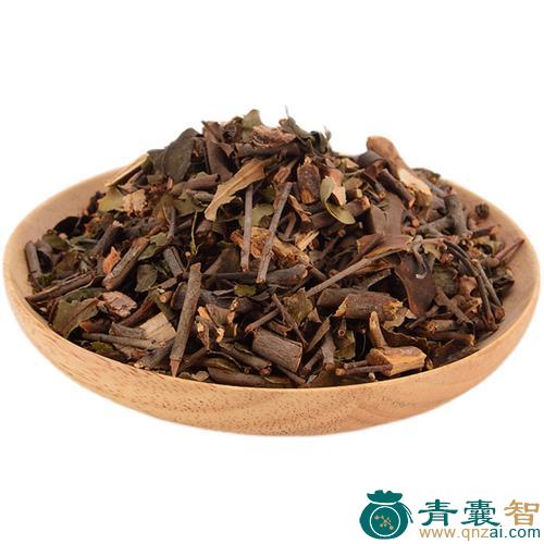 杉寄生的性状性味归经以及功效用法-青囊智