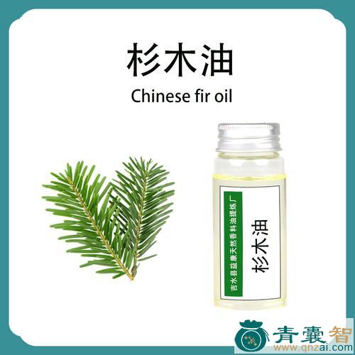 中药材杉木油图片