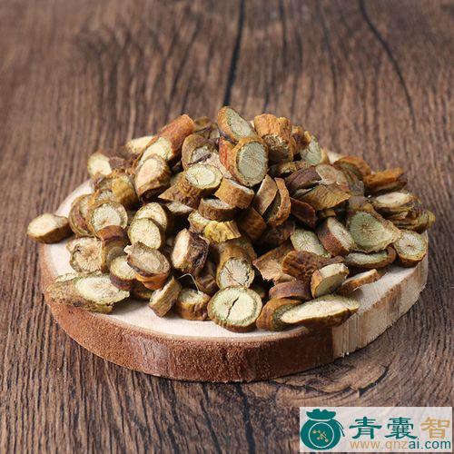 中药材李寄生图片