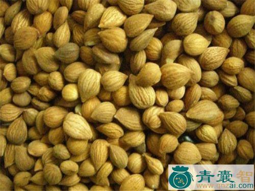 中药材李核仁图片