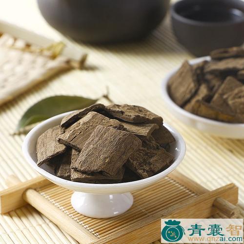 中药材杜仲图片