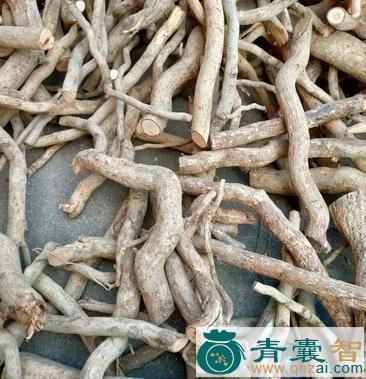 中药材杜仲藤图片