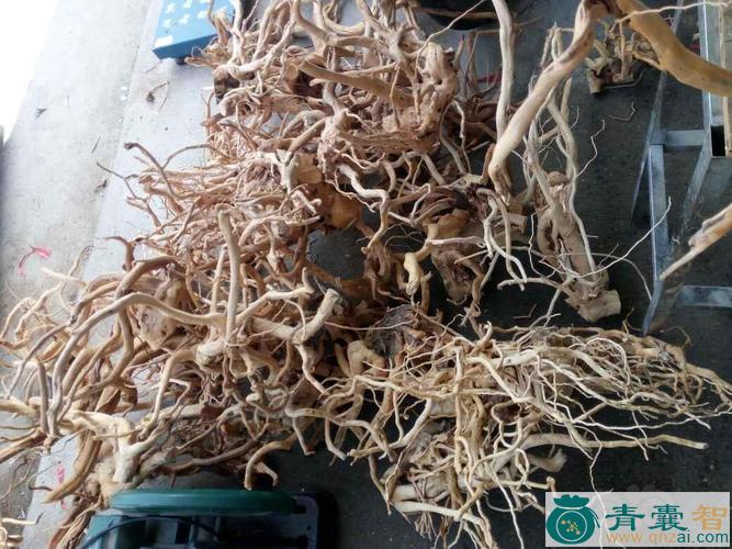 中药材杜鹃花根图片