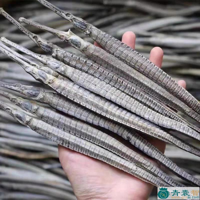 中药材杨枝鱼图片