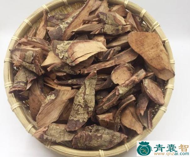 中药材杨梅叶蚊母树根图片