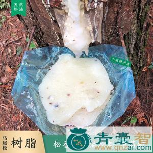松玉的性状性味归经以及功效用法和注意事项-青囊智