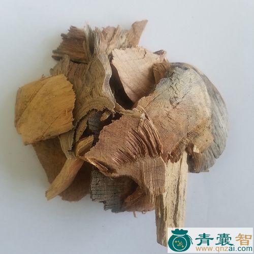 中药材松节图片