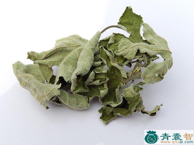 中药材构叶图片