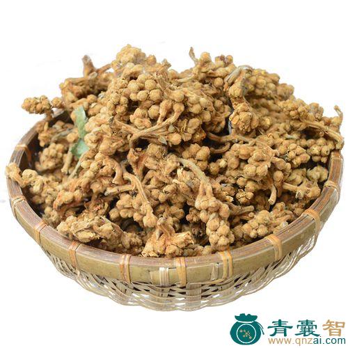 中药材构芭图片