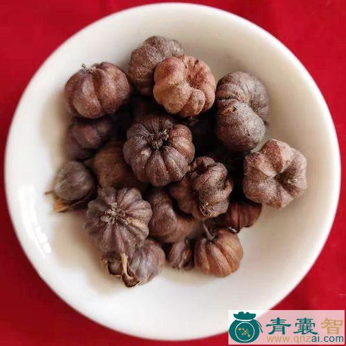 中药材果盒仔图片