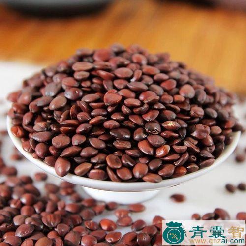 中药材枣仁图片