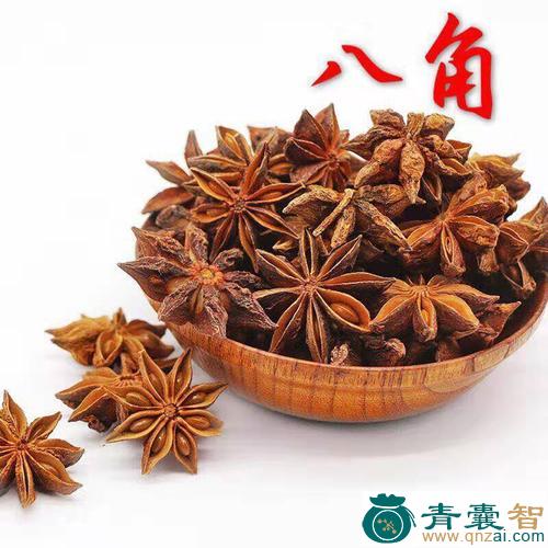 枣八角的性状性味归经以及功效用法-青囊智