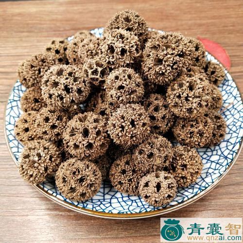 枫木上球的性状性味归经以及功效用法和注意事项-青囊智