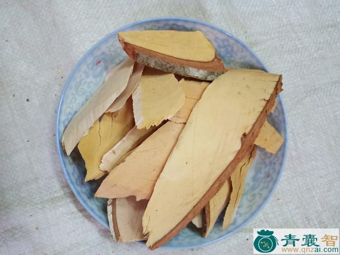 中药材枫香树根图片