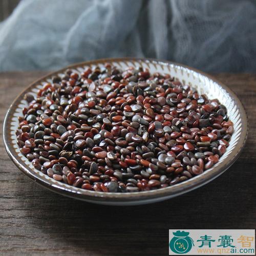 中药材枳具子图片