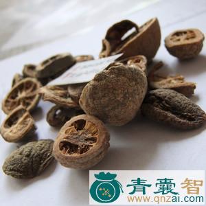 中药材枸橼李图片