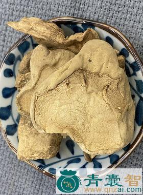 中药材柄马勃图片
