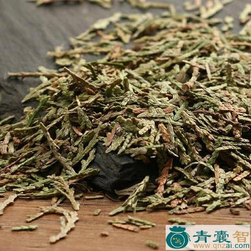 中药材柏树叶图片
