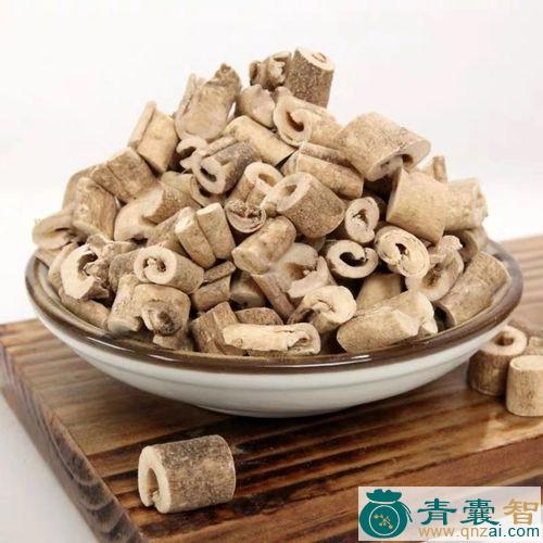 柏白皮的性味归经以及功效用法-青囊智