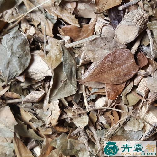 柑子菌芋的性味归经以及功效用法和注意事项-青囊智