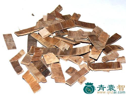 中药材柘木白皮图片