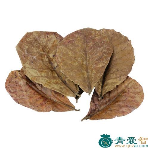 中药材柱果木榄叶图片