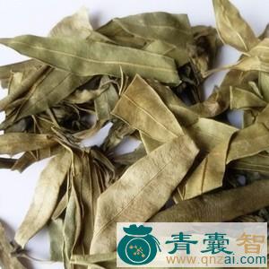 中药材柳叶桃图片