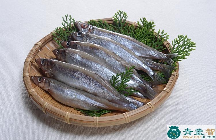 中药材柳叶鱼图片