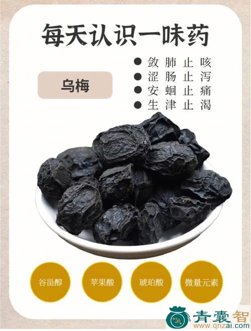 中药材柳梅图片