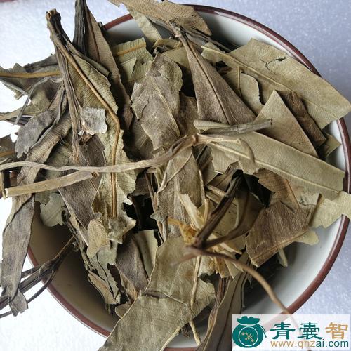 中药材柳竹桃图片
