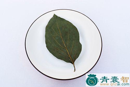 中药材柿叶图片