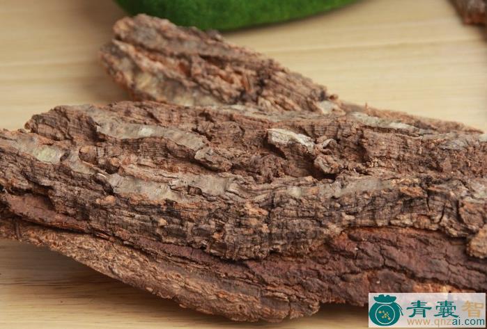 栎树皮-青囊智