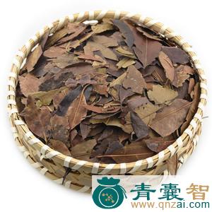树顶子的性状性味归经以及功效用法-青囊智