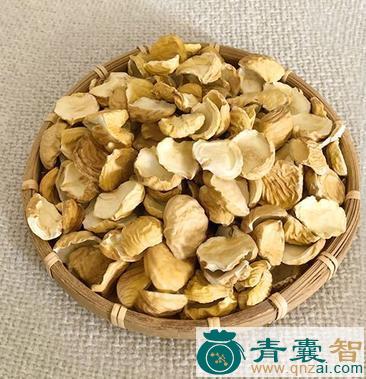 中药材栗当图片