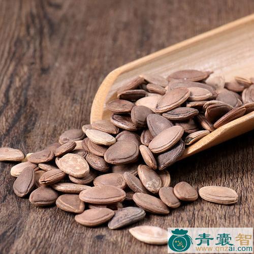 中药材栝楼子图片