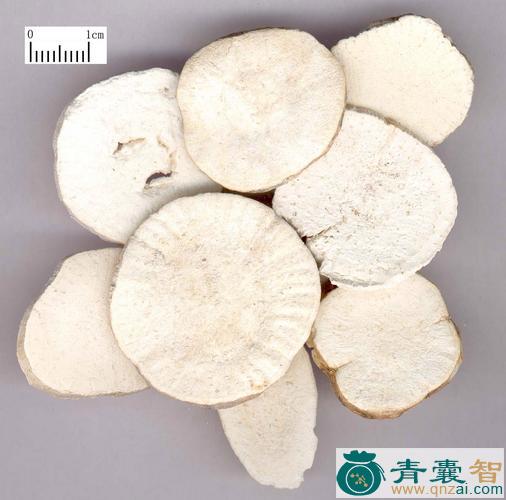 中药材栝蒌粉图片