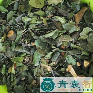 桂花寄生的性味归经以及功效用法-青囊智