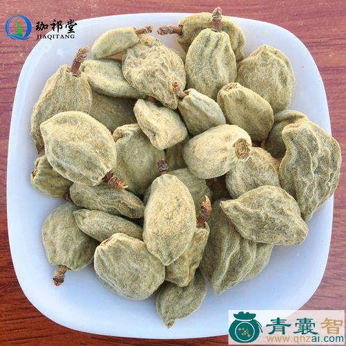 中药材桃奴图片
