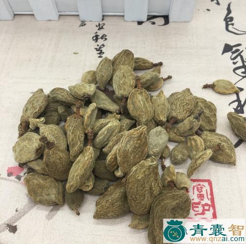 中药材桃枭图片