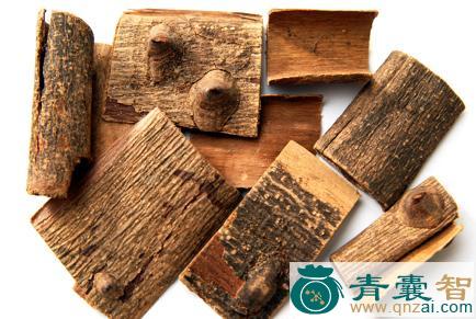 中药材桐皮子图片