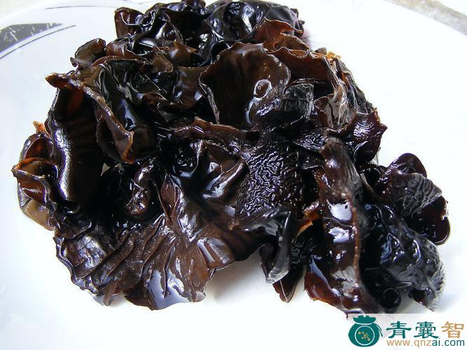 中药材桑上木耳图片