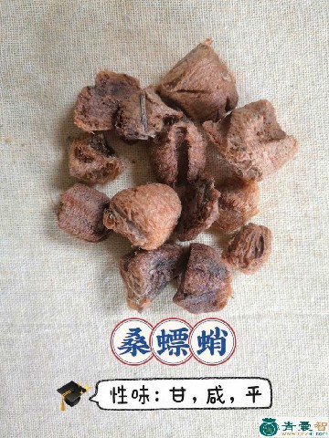 中药材桑上螳螂窠图片