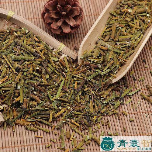 中药材桑树寄生图片