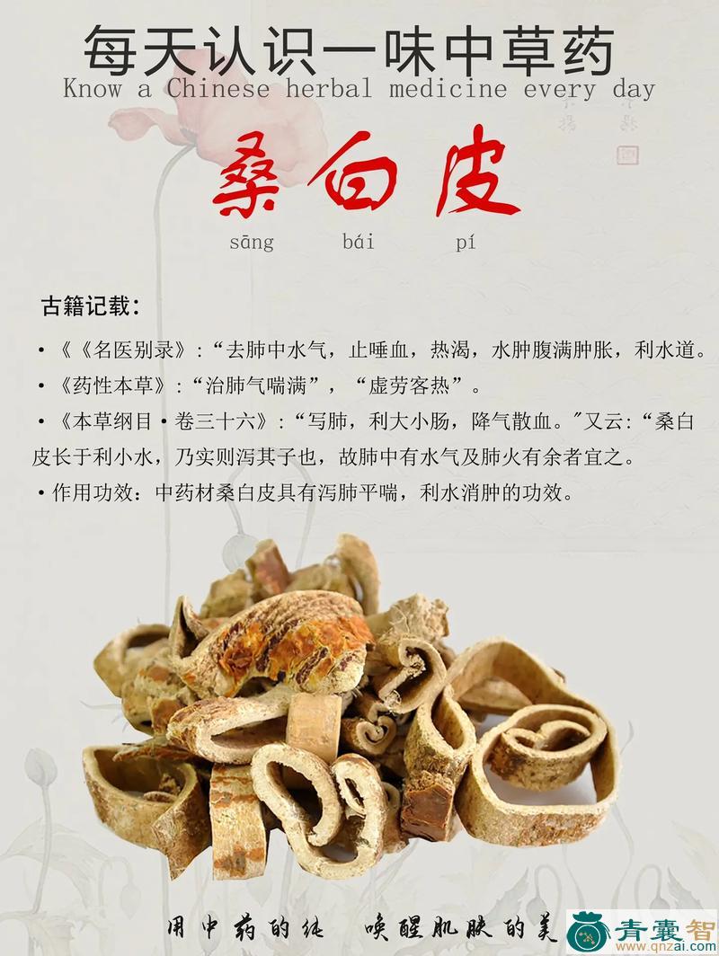中药材桑白皮汁图片